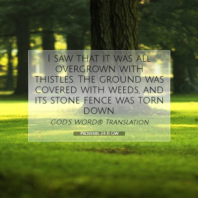 Picture 07 - Proverbs 24:31 GW - I saw that it was all overgrown with thistles. - Bible Verse Picture