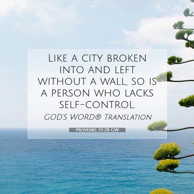 Picture 07 - Proverbs 25:28 GW - Like a city broken into and left without a wall, - Bible Verse Picture