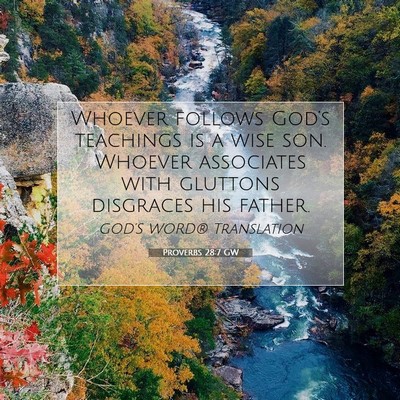 Picture 07 - Proverbs 28:7 GW - Whoever follows God’s teachings is a wise son. - Bible Verse Picture