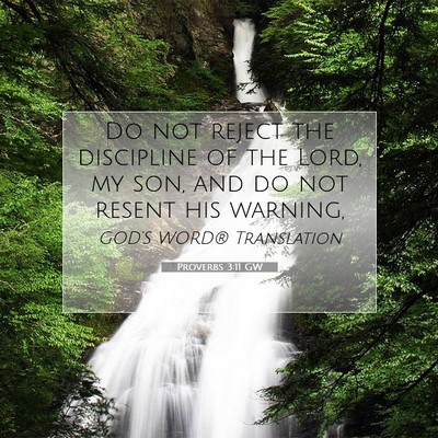 Picture 07 - Proverbs 3:11 GW - Do not reject the discipline of the Lord, my son, - Bible Verse Picture