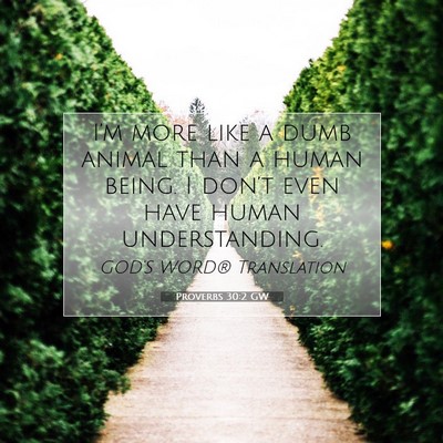 Picture 07 - Proverbs 30:2 GW - I’m more like a dumb animal than a human being. - Bible Verse Picture