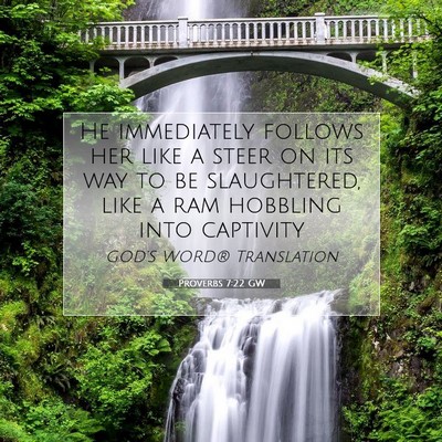 Picture 07 - Proverbs 7:22 GW - He immediately follows her like a steer on its - Bible Verse Picture