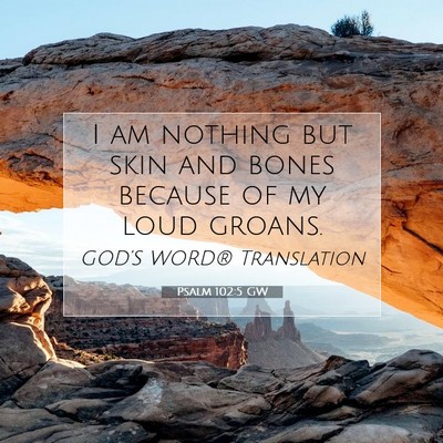 Picture 07 - Psalm 102:5 GW - I am nothing but skin and bones because of my - Bible Verse Picture