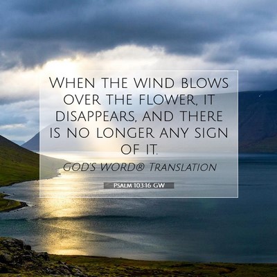 Picture 07 - Psalm 103:16 GW - When the wind blows over the flower, it - Bible Verse Picture
