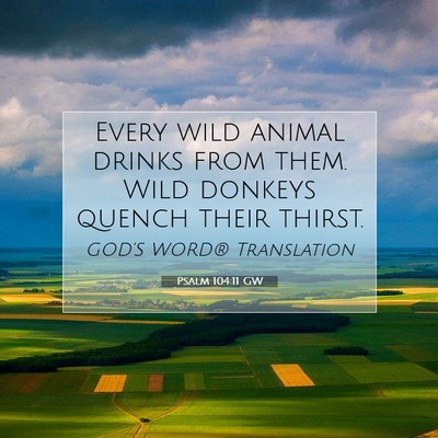 Picture 07 - Psalm 104:11 GW - Every wild animal drinks from them. Wild donkeys - Bible Verse Picture