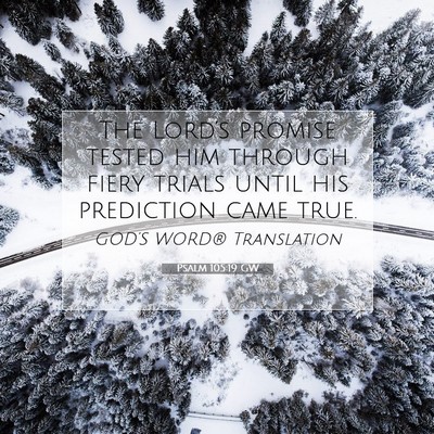Picture 07 - Psalm 105:19 GW - The Lord’s promise tested him through fiery - Bible Verse Picture