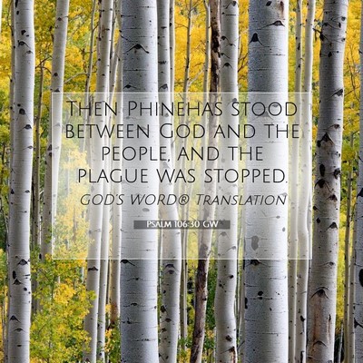 Picture 07 - Psalm 106:30 GW - Then Phinehas stood between God and the people, - Bible Verse Picture
