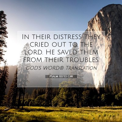 Picture 07 - Psalm 107:13 GW - In their distress they cried out to the Lord. He - Bible Verse Picture