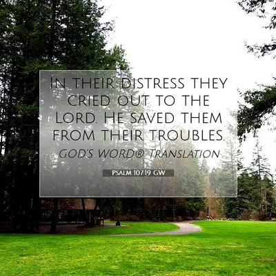 Picture 07 - Psalm 107:19 GW - In their distress they cried out to the Lord. He - Bible Verse Picture