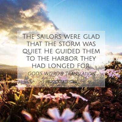 Picture 07 - Psalm 107:30 GW - The sailors were glad that the storm was quiet. - Bible Verse Picture