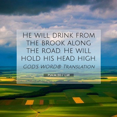 Picture 07 - Psalm 110:7 GW - He will drink from the brook along the road. He - Bible Verse Picture