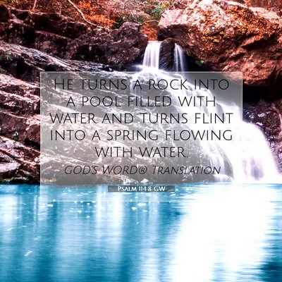 Picture 07 - Psalm 114:8 GW - He turns a rock into a pool filled with water and - Bible Verse Picture