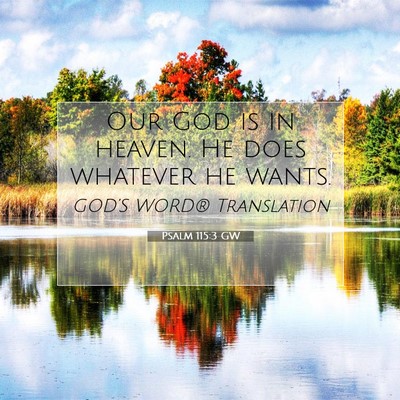 Picture 07 - Psalm 115:3 GW - Our God is in heaven. He does whatever he - Bible Verse Picture