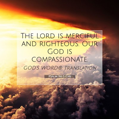 Picture 07 - Psalm 116:5 GW - The Lord is merciful and righteous. Our God is - Bible Verse Picture