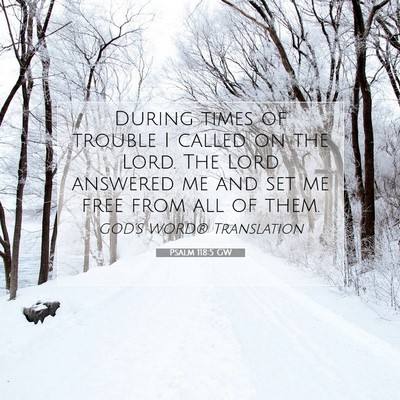 Picture 07 - Psalm 118:5 GW - During times of trouble I called on the Lord. The - Bible Verse Picture