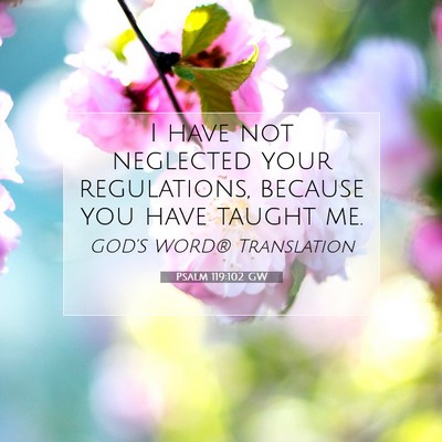 Picture 07 - Psalm 119:102 GW - I have not neglected your regulations, because - Bible Verse Picture