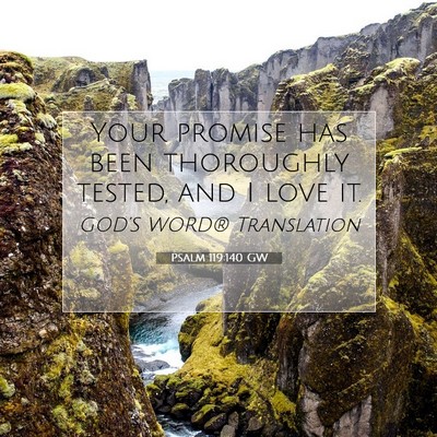 Picture 07 - Psalm 119:140 GW - Your promise has been thoroughly tested, and I - Bible Verse Picture