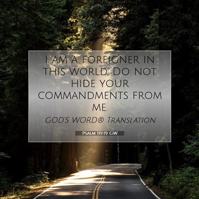 Picture 07 - Psalm 119:19 GW - I am a foreigner in this world. Do not hide your - Bible Verse Picture
