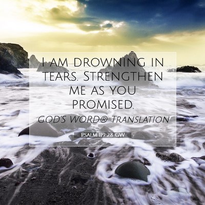 Picture 07 - Psalm 119:28 GW - I am drowning in tears. Strengthen me as you - Bible Verse Picture