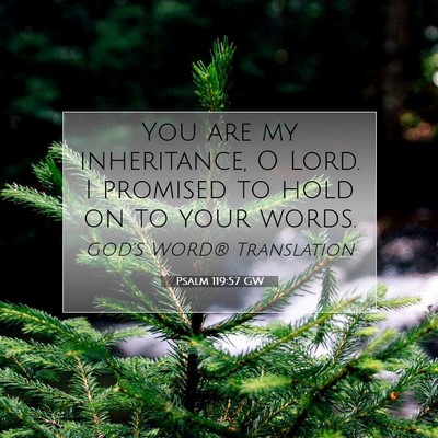 Picture 07 - Psalm 119:57 GW - You are my inheritance, O Lord. I promised to - Bible Verse Picture