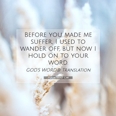 Picture 07 - Psalm 119:67 GW - Before you made me suffer, I used to wander off, - Bible Verse Picture