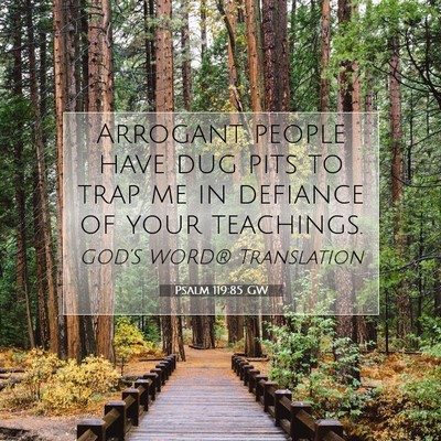 Picture 07 - Psalm 119:85 GW - Arrogant people have dug pits to trap me in - Bible Verse Picture