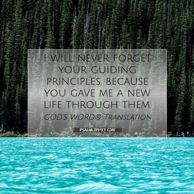 Picture 07 - Psalm 119:93 GW - I will never forget your guiding principles, - Bible Verse Picture