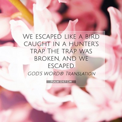 Picture 07 - Psalm 124:7 GW - We escaped like a bird caught in a hunter’s - Bible Verse Picture