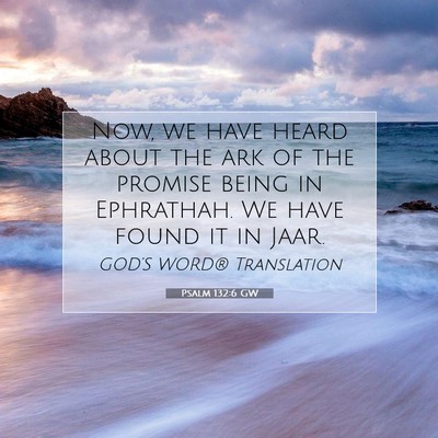 Picture 07 - Psalm 132:6 GW - Now, we have heard about the ark of the promise - Bible Verse Picture
