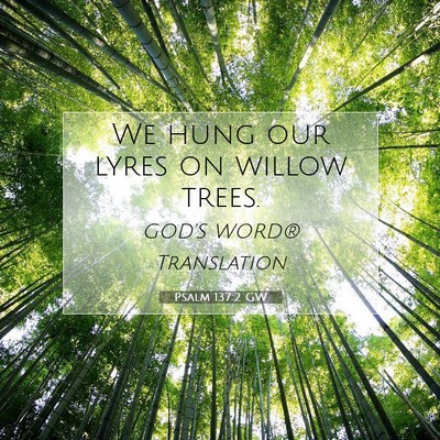 Picture 07 - Psalm 137:2 GW - We hung our lyres on willow - Bible Verse Picture