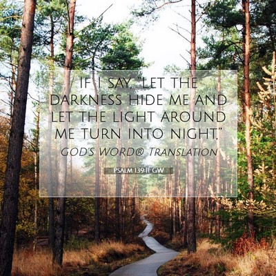 Picture 07 - Psalm 139:11 GW - If I say, “Let the darkness hide me and let the - Bible Verse Picture