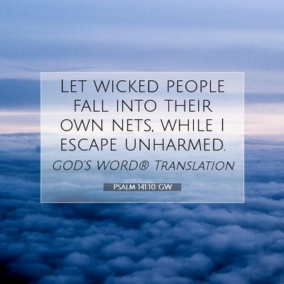 Picture 07 - Psalm 141:10 GW - Let wicked people fall into their own nets, while - Bible Verse Picture