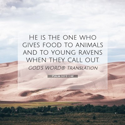Picture 07 - Psalm 147:9 GW - He is the one who gives food to animals and to - Bible Verse Picture