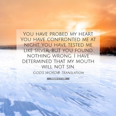 Picture 07 - Psalm 17:3 GW - You have probed my heart. You have confronted me - Bible Verse Picture