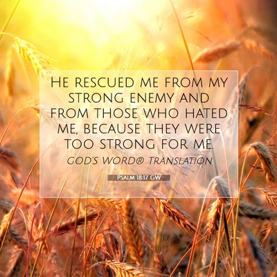 Picture 07 - Psalm 18:17 GW - He rescued me from my strong enemy and from those - Bible Verse Picture