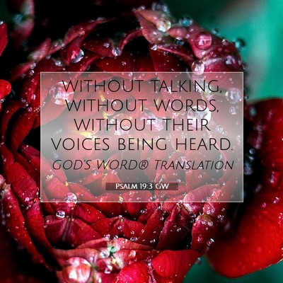 Picture 07 - Psalm 19:3 GW - without talking, without words, without their - Bible Verse Picture