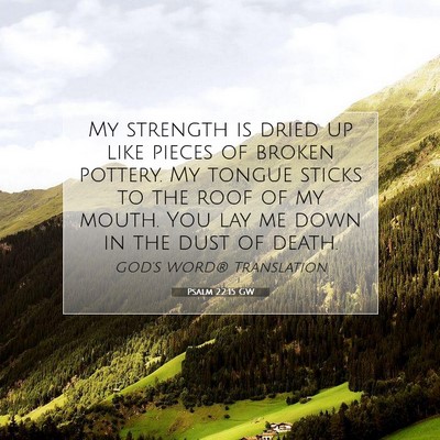 Picture 07 - Psalm 22:15 GW - My strength is dried up like pieces of broken - Bible Verse Picture