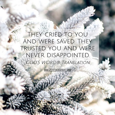 Picture 07 - Psalm 22:5 GW - They cried to you and were saved. They trusted - Bible Verse Picture