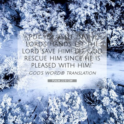 Picture 07 - Psalm 22:8 GW - “Put yourself in the Lord’s hands. Let the - Bible Verse Picture