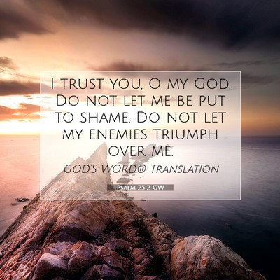 Picture 07 - Psalm 25:2 GW - I trust you, O my God. Do not let me be put to - Bible Verse Picture