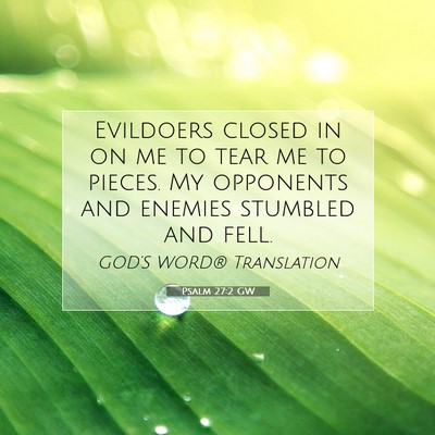 Picture 07 - Psalm 27:2 GW - Evildoers closed in on me to tear me to pieces. - Bible Verse Picture