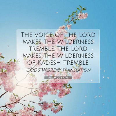 Picture 07 - Psalm 29:8 GW - The voice of the Lord makes the wilderness - Bible Verse Picture