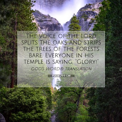 Picture 07 - Psalm 29:9 GW - The voice of the Lord splits the oaks and strips - Bible Verse Picture