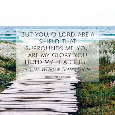 Picture 07 - Psalm 3:3 GW - But you, O Lord, are a shield that surrounds me. - Bible Verse Picture