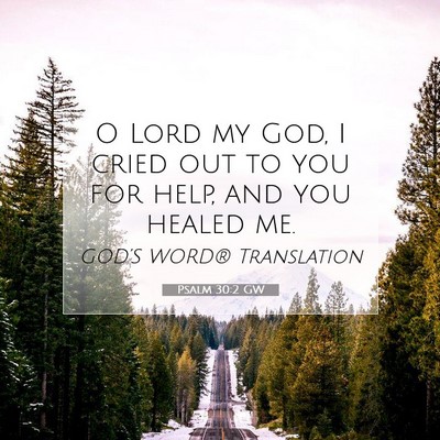 Picture 07 - Psalm 30:2 GW - O Lord my God, I cried out to you for help, and - Bible Verse Picture