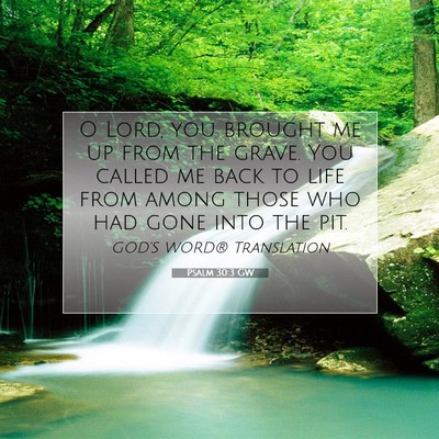 Picture 07 - Psalm 30:3 GW - O Lord, you brought me up from the grave. You - Bible Verse Picture