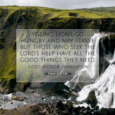Picture 07 - Psalm 34:10 GW - Young lions go hungry and may starve, but those - Bible Verse Picture