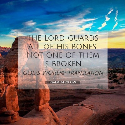 Picture 07 - Psalm 34:20 GW - The Lord guards all of his bones. Not one of them - Bible Verse Picture