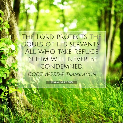 Picture 07 - Psalm 34:22 GW - The Lord protects the souls of his servants. All - Bible Verse Picture