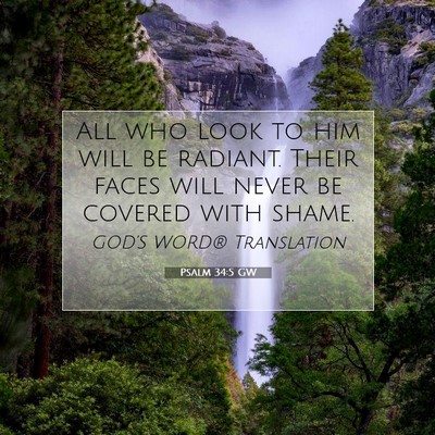 Picture 07 - Psalm 34:5 GW - All who look to him will be radiant. Their faces - Bible Verse Picture